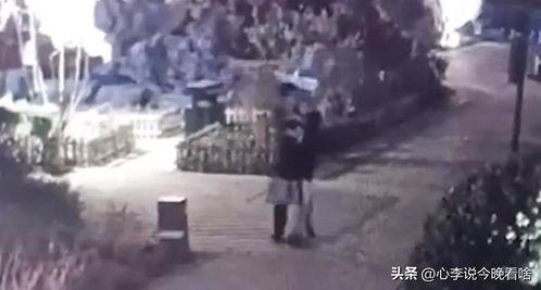 老街吃瓜最新视频大全下载,最新视频大全精彩瞬间回顾