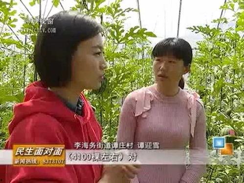 魏湾林庄吃瓜视频,揭秘乡村夏日生活趣味瞬间