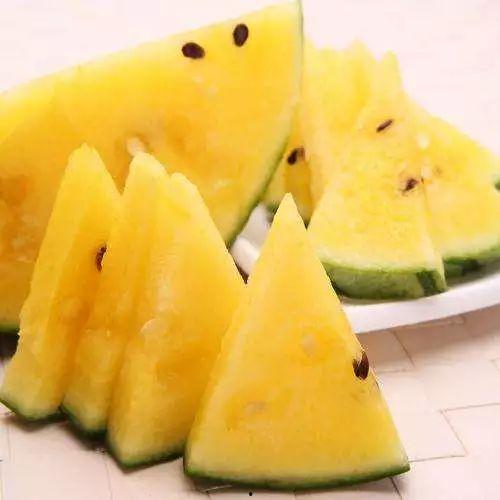 小瓢瓜怎样吃最好吃视频,视频教你如何吃出最佳口感