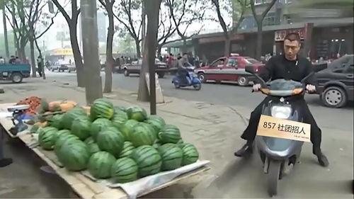 华强买瓜吃视频,趣味横生短视频走红网络