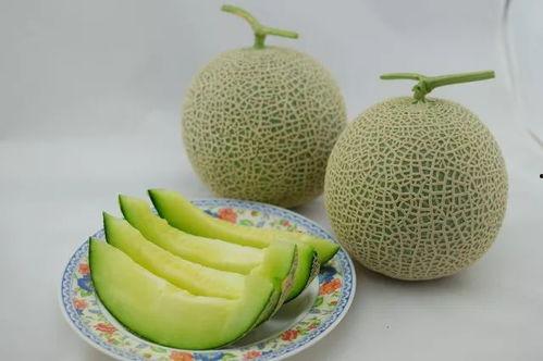 带你吃瓜的天热视频素材,天热视频素材大放送