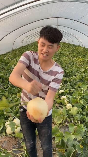 徒手劈瓜怎么吃最好视频,视频教你最佳食用之道