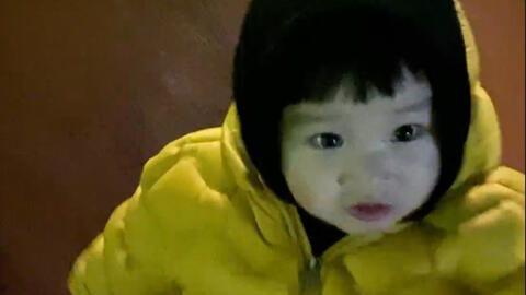 秃崽最新吃瓜视频,揭秘娱乐圈幕后真相