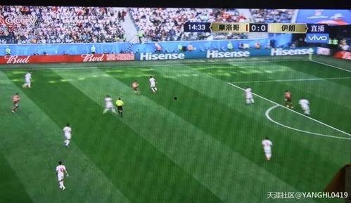 吃瓜群众踢足球视频播放,一场别开生面的足球视频狂欢