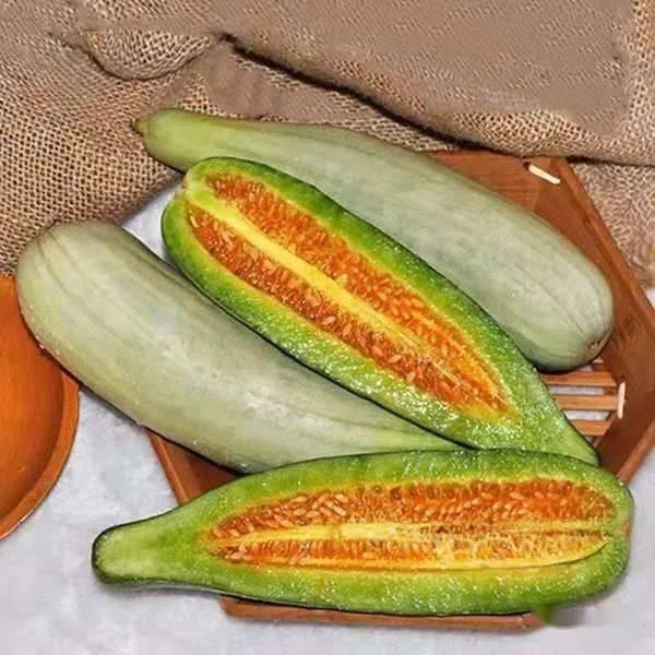 昌乐吃羊蜜瓜视频,甜蜜滋味，视觉盛宴！