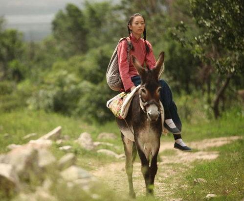 四哥骑驴吃瓜视频,趣味横生乡村生活一幕