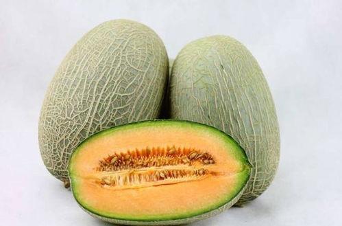 在罗布泊吃哈密瓜视频,揭秘哈密瓜的独特魅力