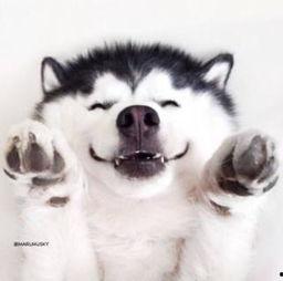 吃瓜现场视频素材,吃瓜群众围观大事件，精彩瞬间一网打尽